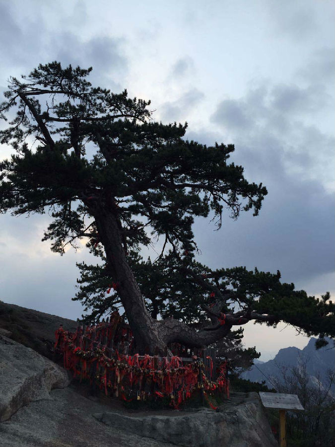 TOPTION Family Challenge Mount Hua