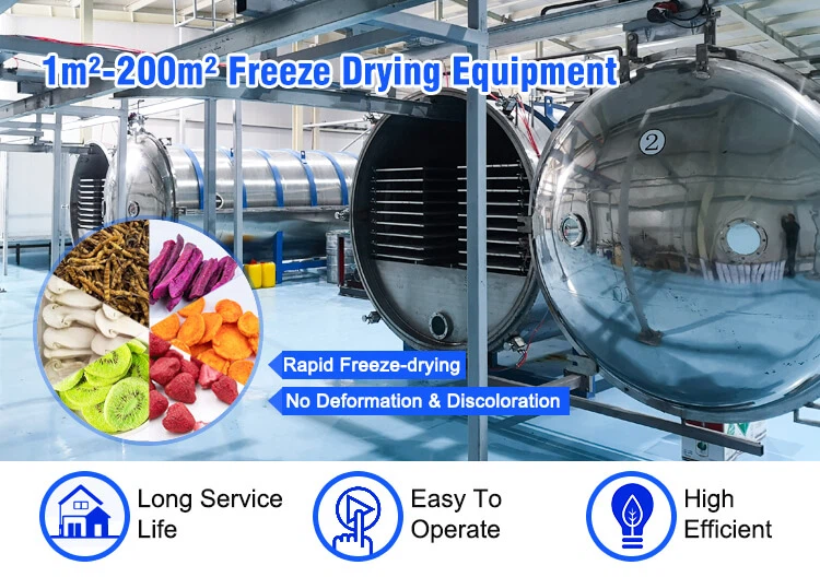 freeze drying equipment supplier