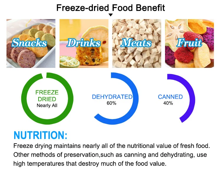 freeze drying equipment (14)