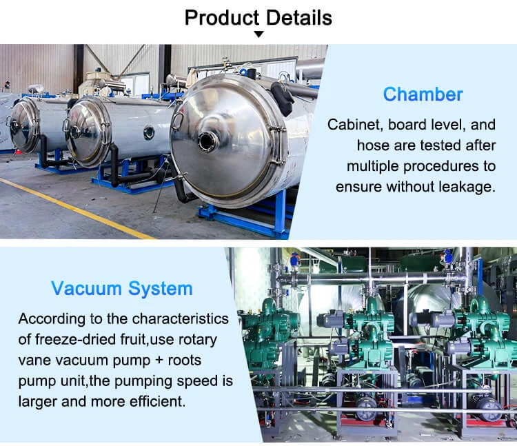 freeze drying machine vacuum system
