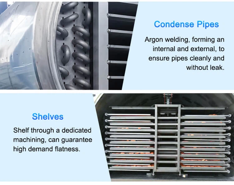 freeze drying machine chamber