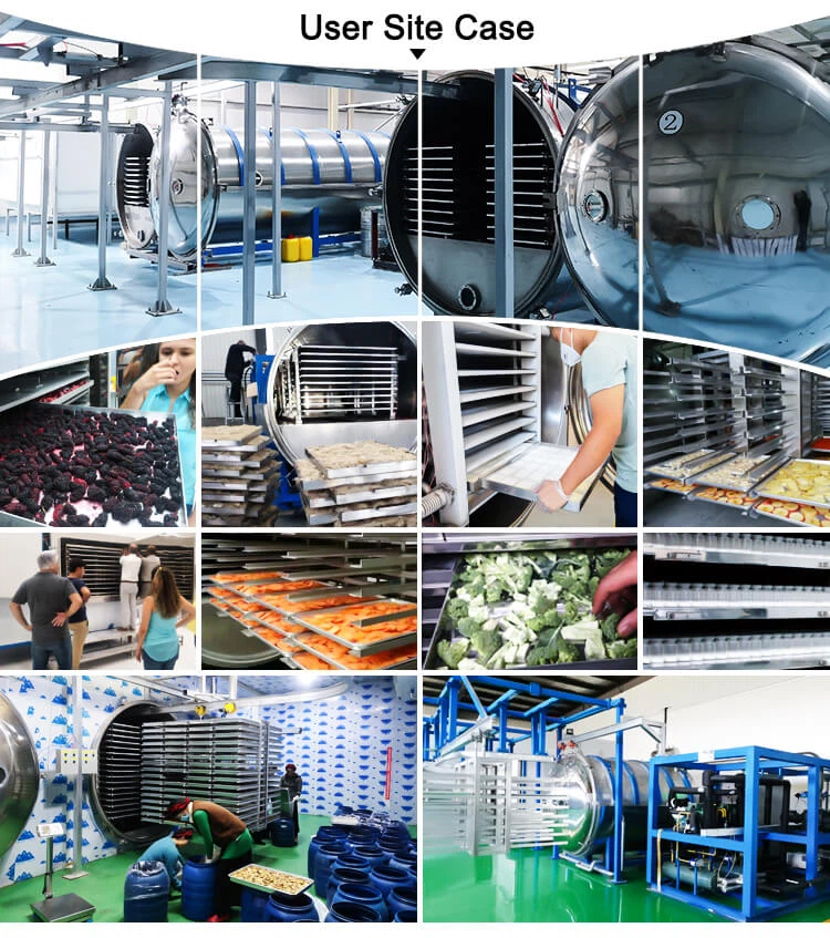freeze drying equipment project