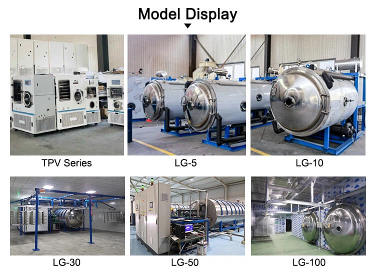 freeze drying equipment models