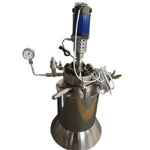Parr Pressure Reactor Customize From China