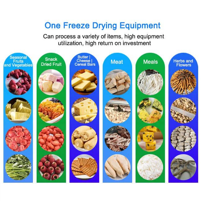 Food Industrial Freeze Drying Machine Supplier