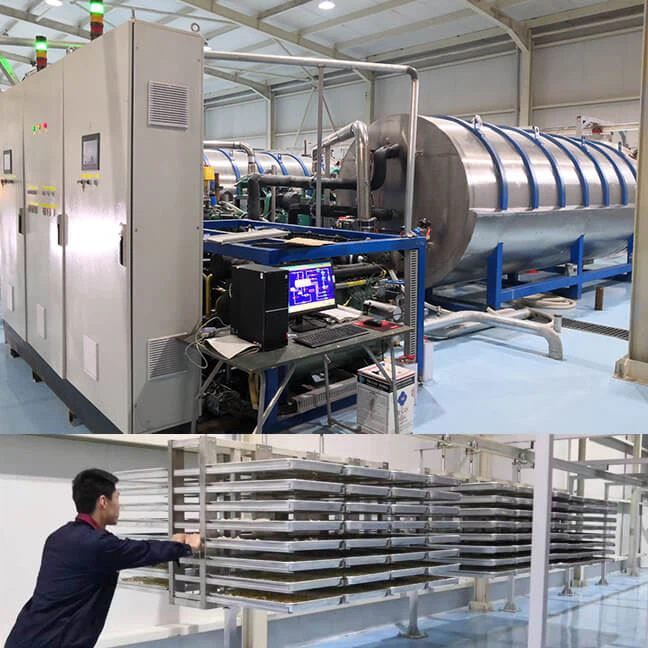 Food Industrial Freeze Drying Machine Supplier