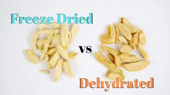 freeze dryer freeze dryer