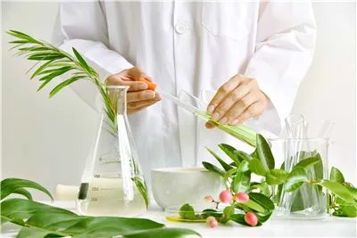 Explore the Essential Oil Extractor: Discover the wonders of health and beauty