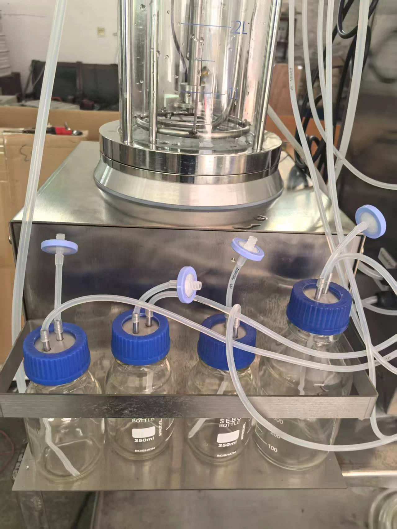 5L Glass Fermenter 5L Glass Fermenter
