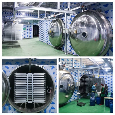 freeze dryer freeze dryer