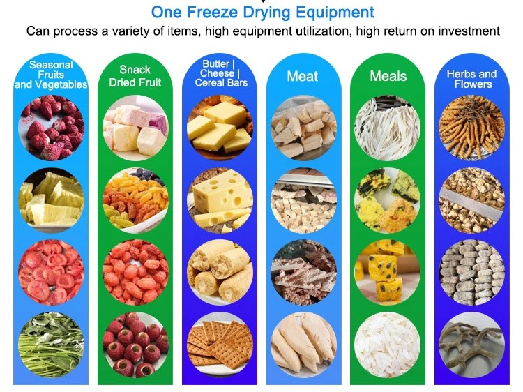 best freeze dryer best freeze dryer