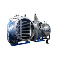 China High-Efficiency Vacuum Freeze Dryer Manufacturers